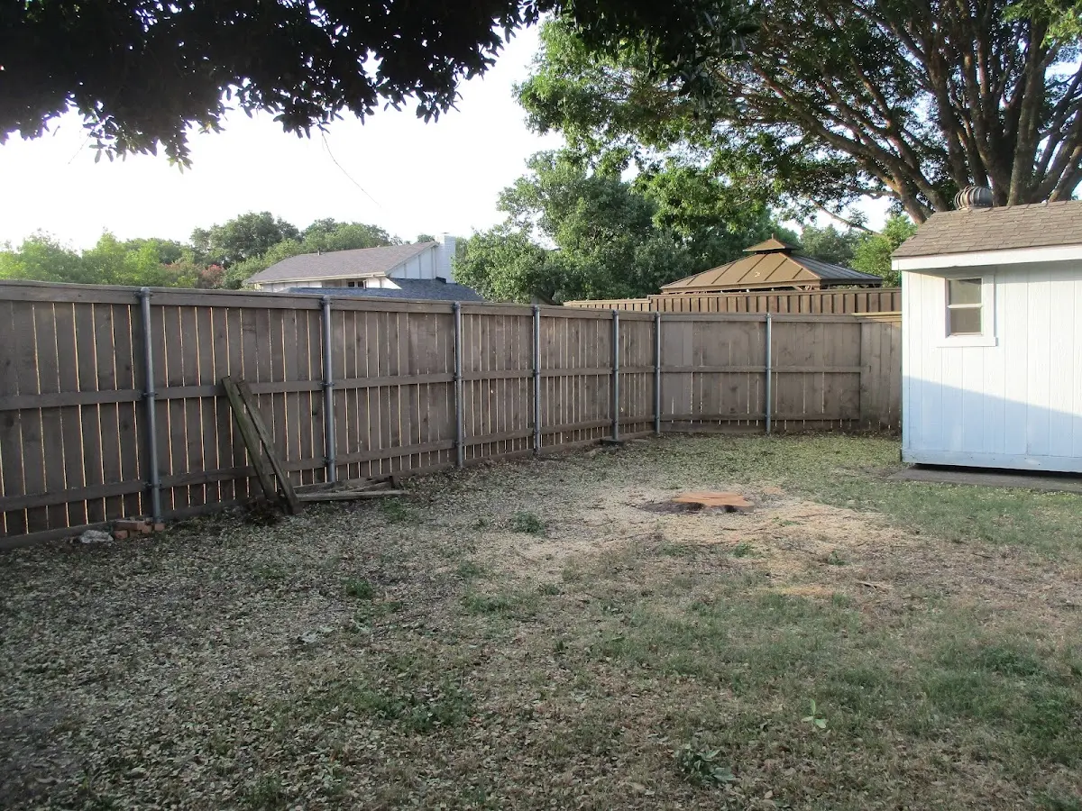Cleared yard after professional tree removal in Kualapuu